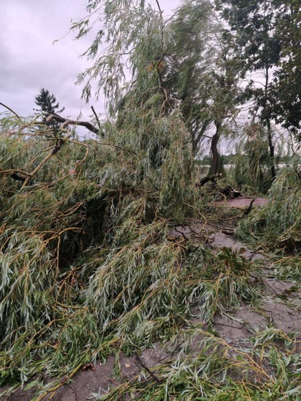 Potężna wichura w Wielkopolsce! Zerwane dachy, powalone drzewa i ogromne zniszczenia