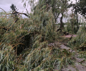 Potężna wichura w Wielkopolsce! Zerwane dachy, powalone drzewa i ogromne zniszczenia