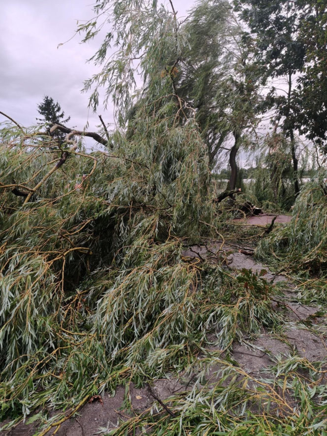 Potężna wichura w Wielkopolsce! Zerwane dachy, powalone drzewa i ogromne zniszczenia
