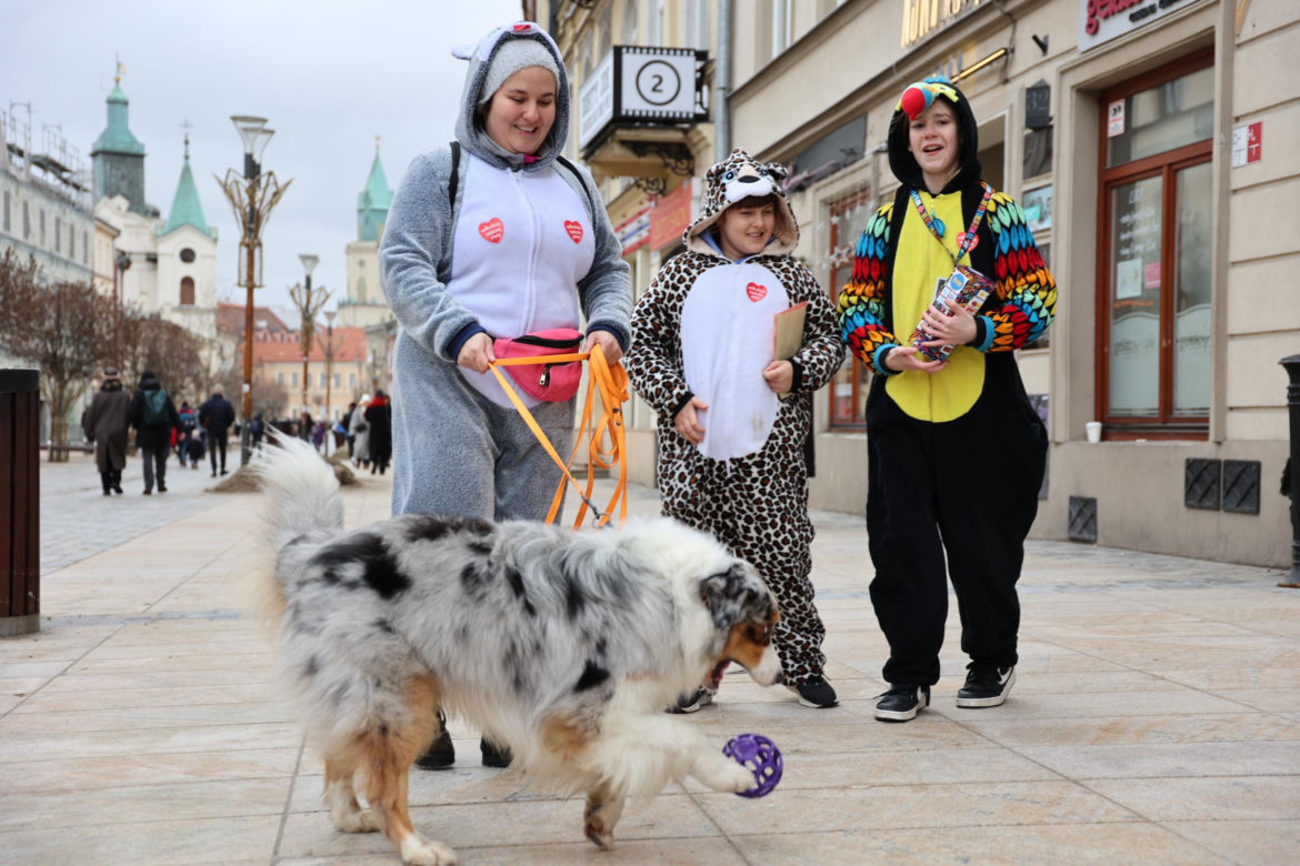 Wolontariusze Wielkiej Orkiestry Świątecznej Pomocy 2024 opanowali Lublin!