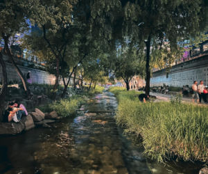 Cheonggyecheon, Seul