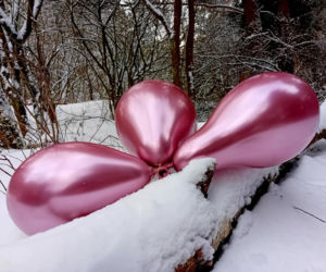 Kolorowe pożegnanie roku w lodowatej wodzie. Morsowy Sylwester 2025/2026 z grupą „Mors Może Więcej”