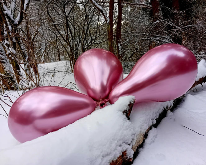 Kolorowe pożegnanie roku w lodowatej wodzie. Morsowy Sylwester 2025/2026 z grupą „Mors Może Więcej”