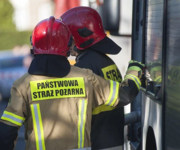 Zaginęła z dwójką małych dzieci. Służby przeczesują lasy 