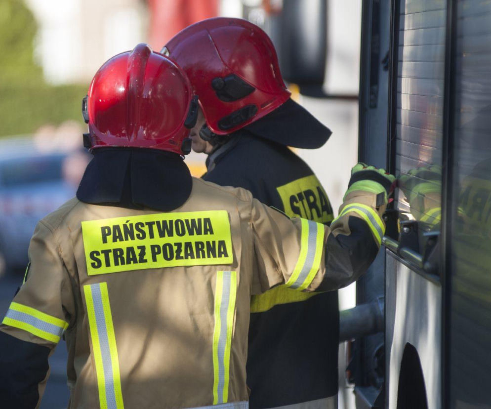 Zaginęła z dwójką małych dzieci. Służby przeczesują lasy w rejonie Piwnicznej-Zdroju