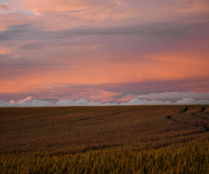 Oświetlenie, place zabaw i remonty. Ponad 700 tysięcy złotych dla sołectw w 2026 roku