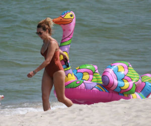Anna Kalczyńska przyniosła ptaka na plażę