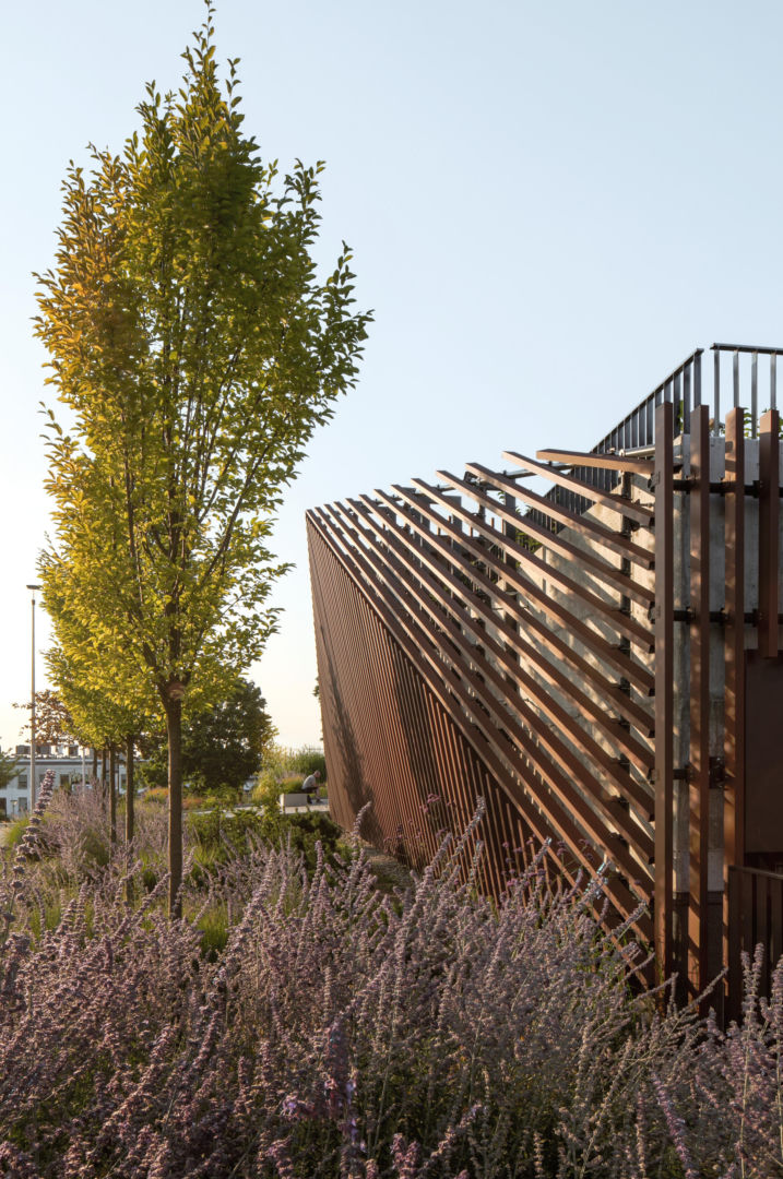 Sky Park w Zielonej Górze 12