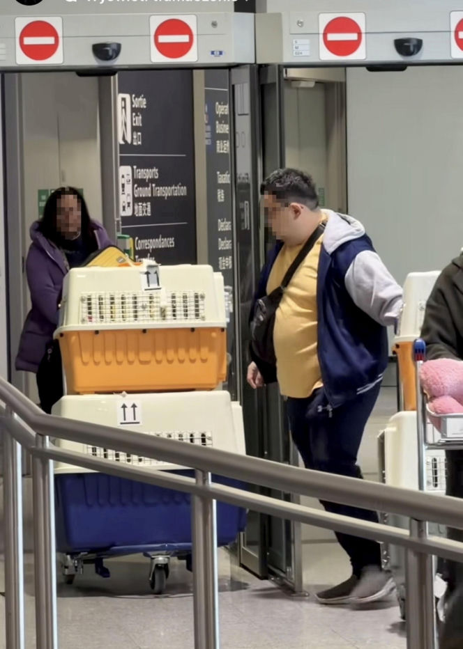 Malwina Wędzikowska uratowała psa