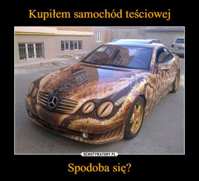 Tych memów o teściowych nie pokażesz mamie! Internauci nie mają litości