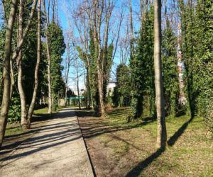 Park im. Tadeusza Rejtana w Łodzi