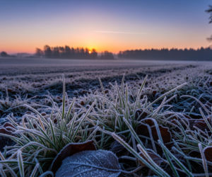 Przymrozki IMGW. Czy Twoje województwo jest zagrożone silnym spadkiem temperatur?