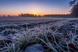 Przymrozki i śnieg w kwietniu? IMGW ujawnia szczegóły 