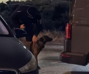 Pirotechnicy Blizne Łaszczyńskiego