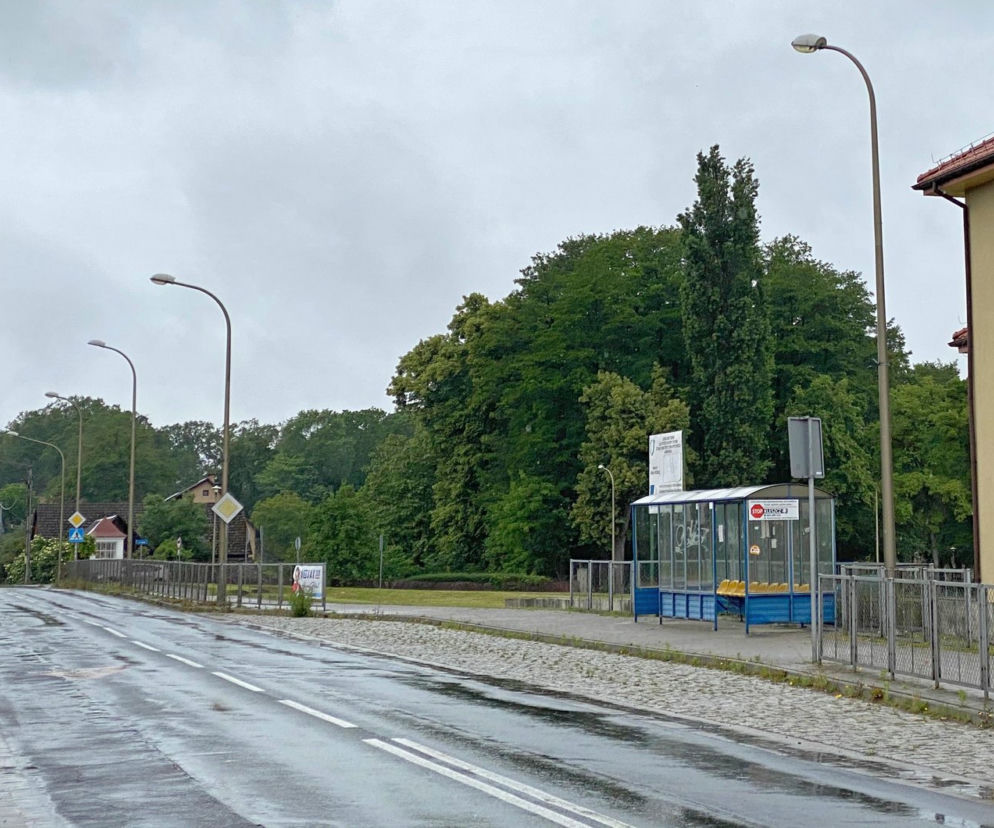 Lampy w gminie Krośnice świecą tylko do godz. 23:00