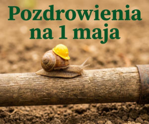 śmieszny obrazek na 1 maja