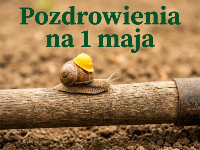 śmieszny obrazek na 1 maja