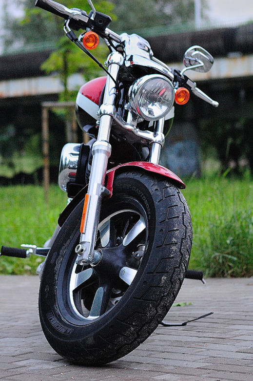 Harley-Davidson Sportster 1200 Custon CA
