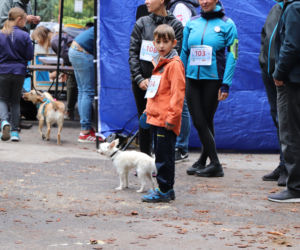 Biegali i pomagali przyjaciołom ze schroniska w Toruniu. Za nami akcja Psiebiegnij się 