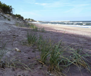 Fioletowy piasek nad Bałtykiem