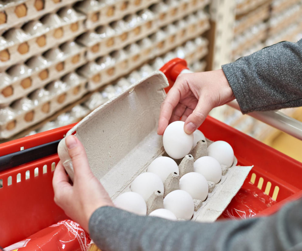 Osoba w szarej bluzie wkłada świeże jaja do czerwonego koszyka na zakupy. Kartony z jajami w tle, symbolizujące ostrzeżenie GIS przed Salmonellą, o którym przeczytasz więcej na Poradnik Zdrowie.
