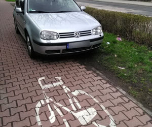 Blokują chodniki i ulice. Stają na przystankach i ścieżkach rowerowych. Oto Mistrzowie Parkowania z Gliwic [ZDJĘCIA]