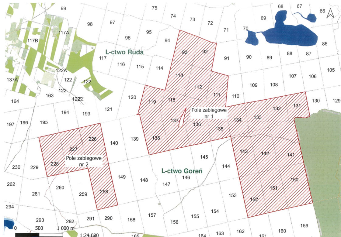 Zakaz wstępu do lasu w Kujawsko-Pomorskiem! Mapa z zamkniętymi terenami