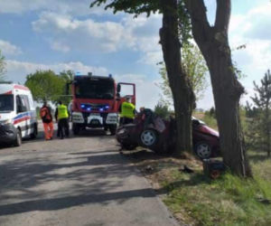 Bliźniacy zginęli na drzewie