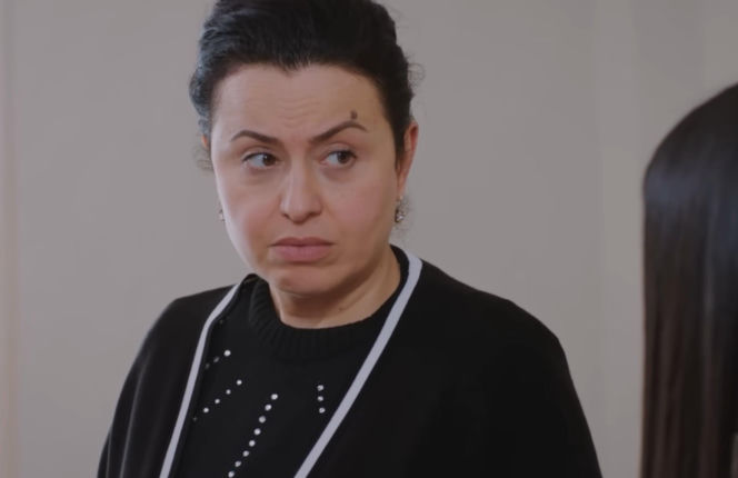 Miłość i nadzieja, odcinek 263. Cavidan, Bahar