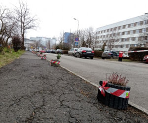 Tak się parkuje na Koszutce. Mieszkańcy mają dość