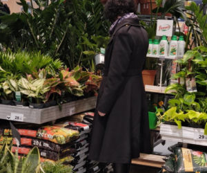 Anna Maria Żukowska buszuje w kwiatach