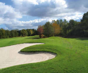 TOYA_GOLF_03.jpg