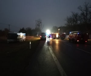 Śmiertelny wypadek pod Toruniem - policja poszukuje świadków