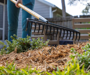 Wiosenne porządki w ogrodzie