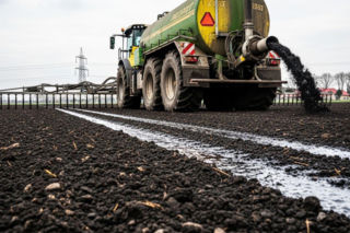 Poferment zamiast drogich nawozów. To nie tylko oszczędność, ale też inwestycja w glebę