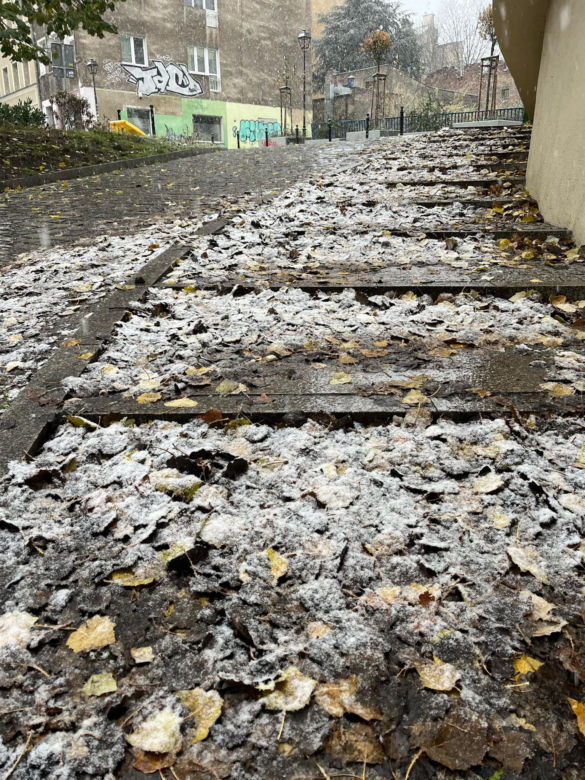 Pierwszy śnieg w Szczecinie