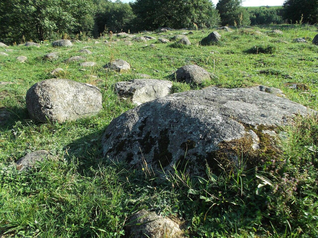Głazowisko Bachanowo w woj. podlaskim
