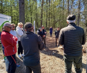 W Lesie Sekulskim rośnie już kilkaset nowych, młodych buków! Drzewa zasadzili członkowie siedleckiego samorządu i leśnicy