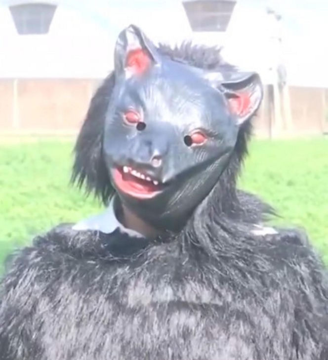 Yeti pojawił się na polu?! Ten film może szokować, wyjaśnienie cię zaskoczy