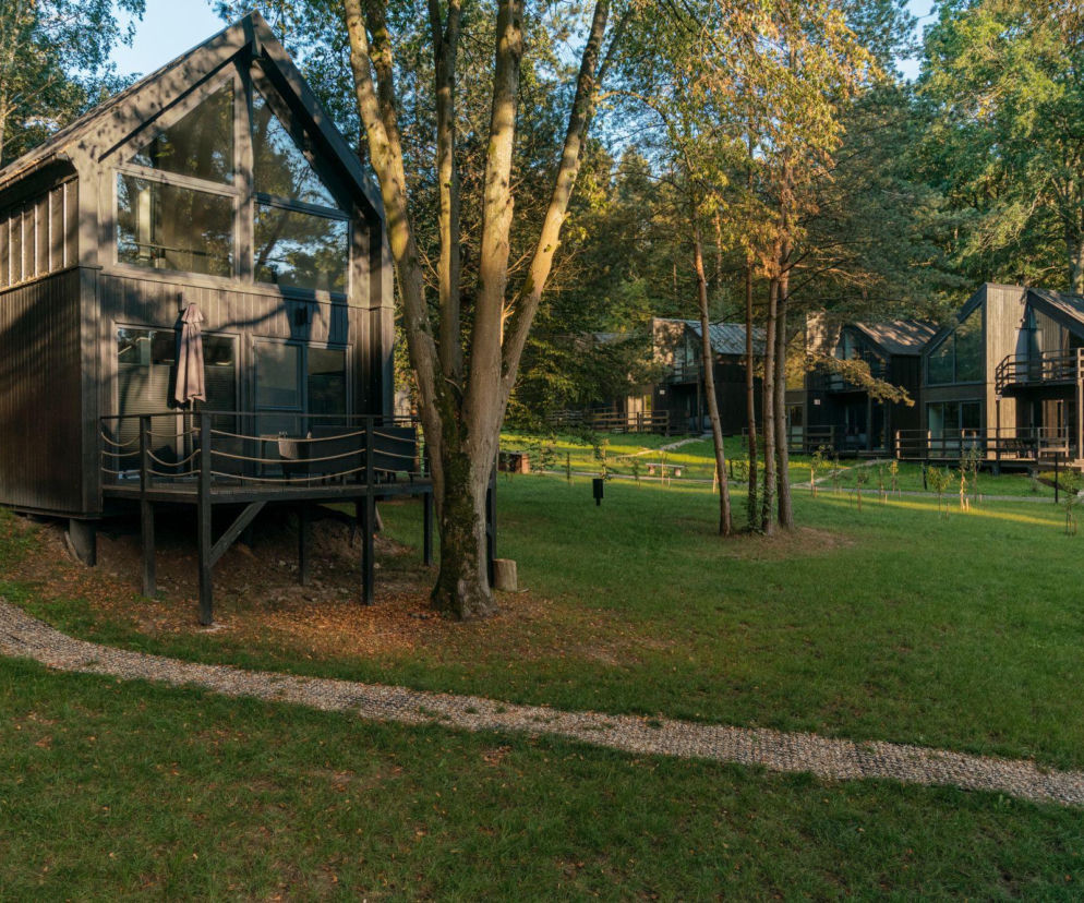 Czarne, drewniane domki na słupach wśród drzew. O ekologicznym ośrodku we Fromborku przeczytasz w Architektura.