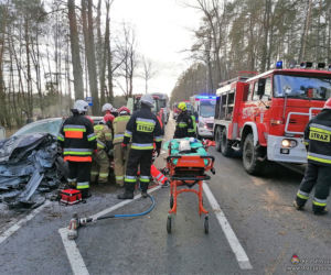 Przasnysz. Auto z kobietą i dzieckiem uderzyło w drzewo! Później spadł na nie pień! [ZDJĘCIA]