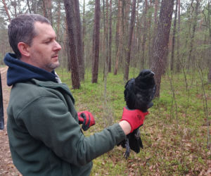 Dr Adam Olszewski, zoolog z Kampinoskiego parku Narodowego