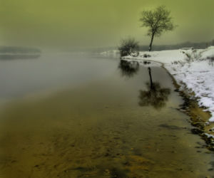 Zdjęcie 5922