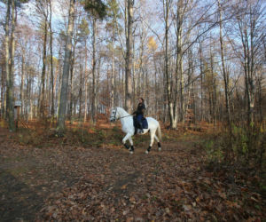 Rezerwat Segiet udostępni nowe szlaki dla mieszkańców