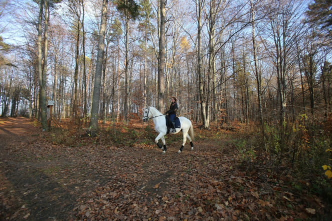 Rezerwat Segiet udostępni nowe szlaki dla mieszkańców