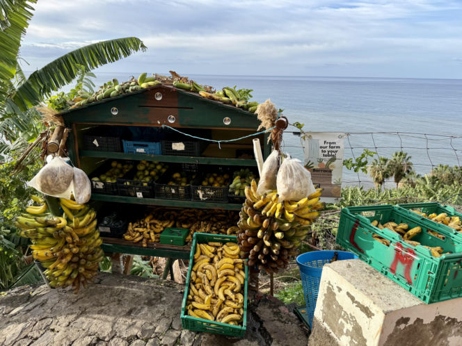Banany i inne owoce, można kupić prosto od rolnika