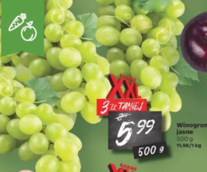 Promocje w Netto
