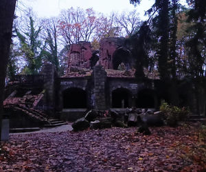 Teren wokół Wieży Quistorpa został uporządkowany