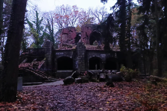 Teren wokół Wieży Quistorpa został uporządkowany