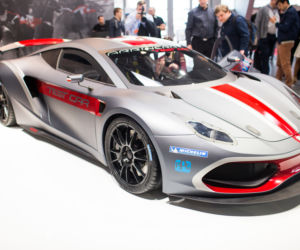 Arrinera Hussarya